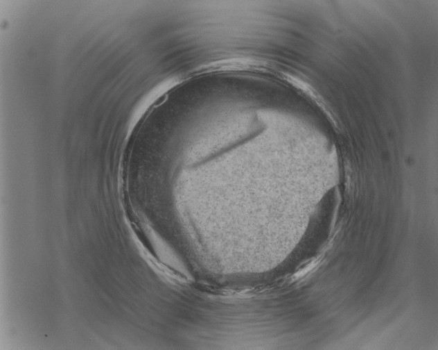 X0000067461426200605051610