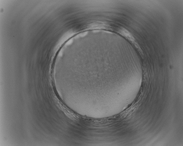 X0000067461427200605051610