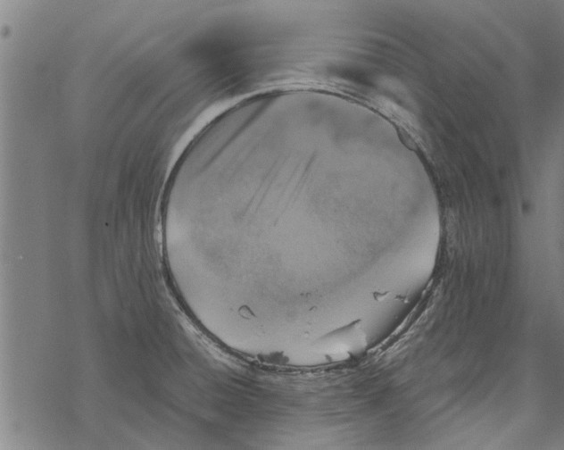 X0000067461428200605051610