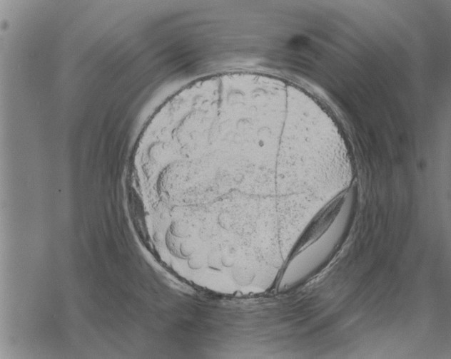 X0000067461432200605051610