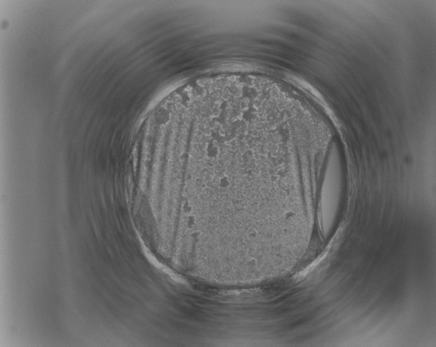 X0000067461433200605051610