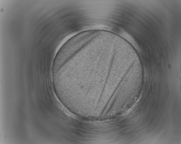 X0000067461436200605051610