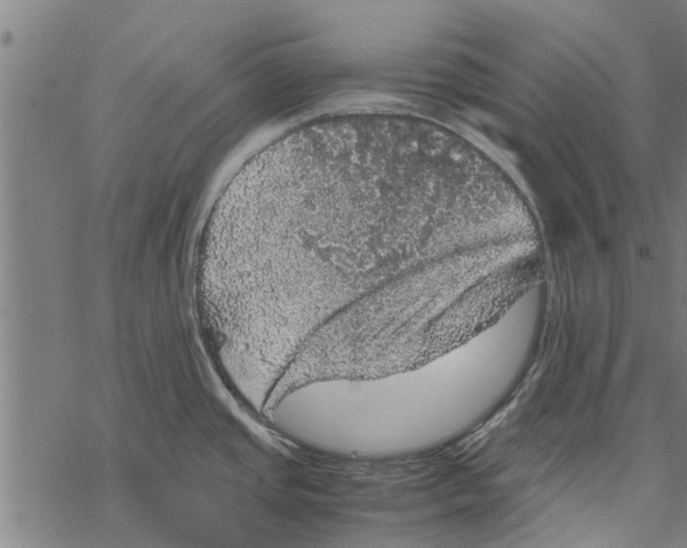 X0000067461437200605051611