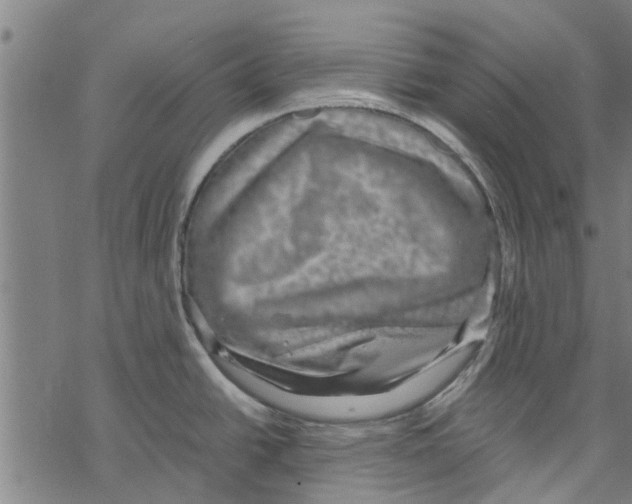 X0000067461438200605051611