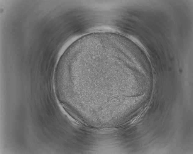 X0000067461440200605051611