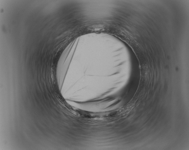 X0000067461442200605051610