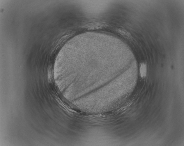 X0000067461444200605051610