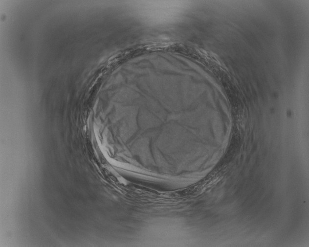 X0000067461445200605051610