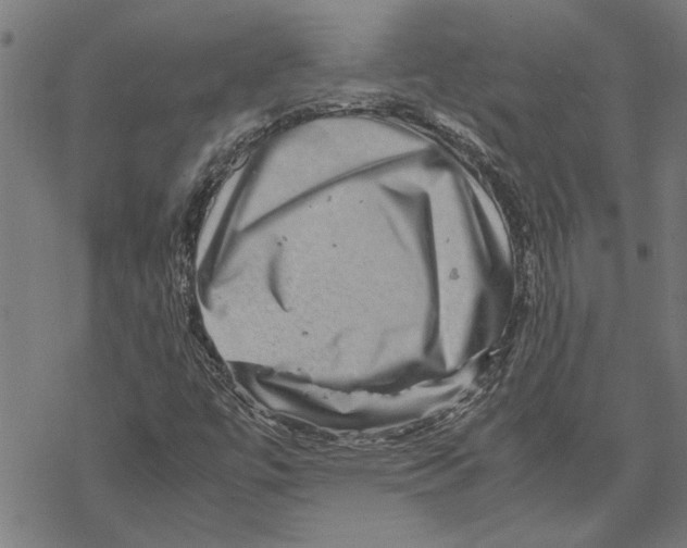 X0000067461447200605051610