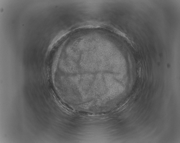 X0000067461448200605051610