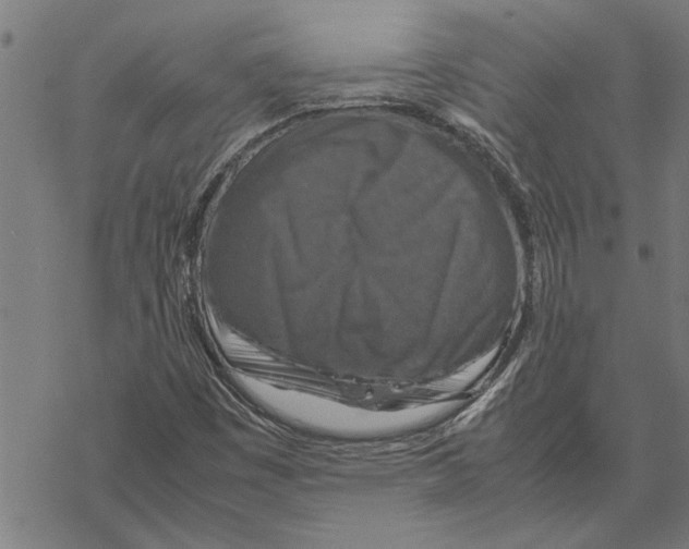 X0000067461449200605051610