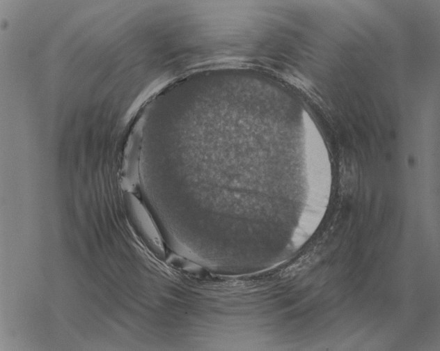 X0000067461450200605051610