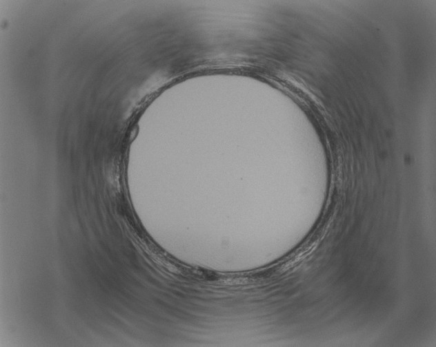 X0000067461451200605051610