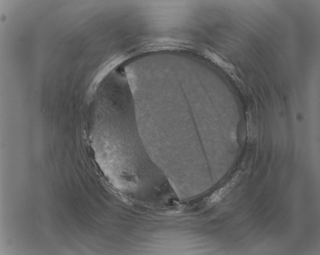 X0000067461453200605051610