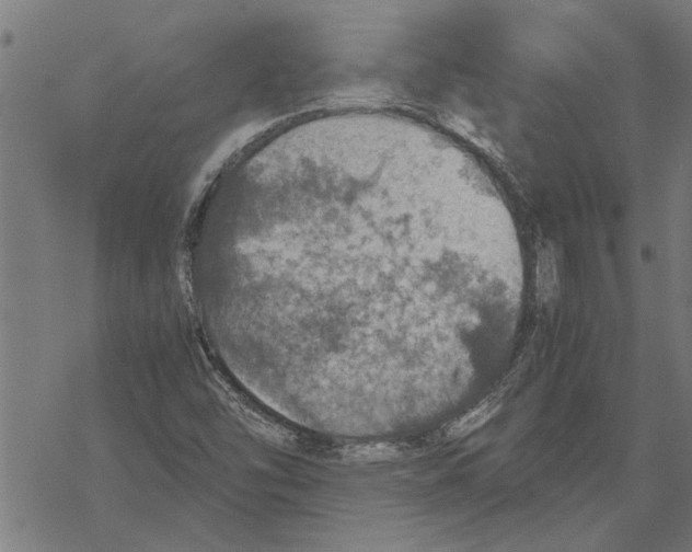 X0000067461454200605051610