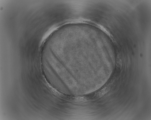 X0000067461456200605051610