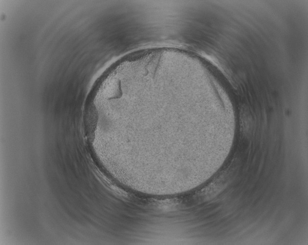 X0000067461460200605051609