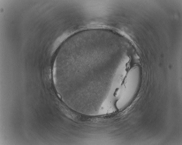 X0000067461461200605051609