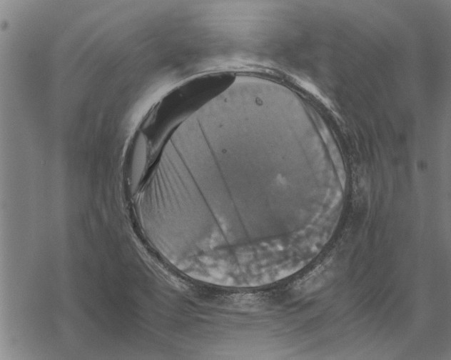 X0000067461463200605051609