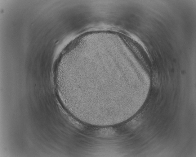 X0000067461464200605051609