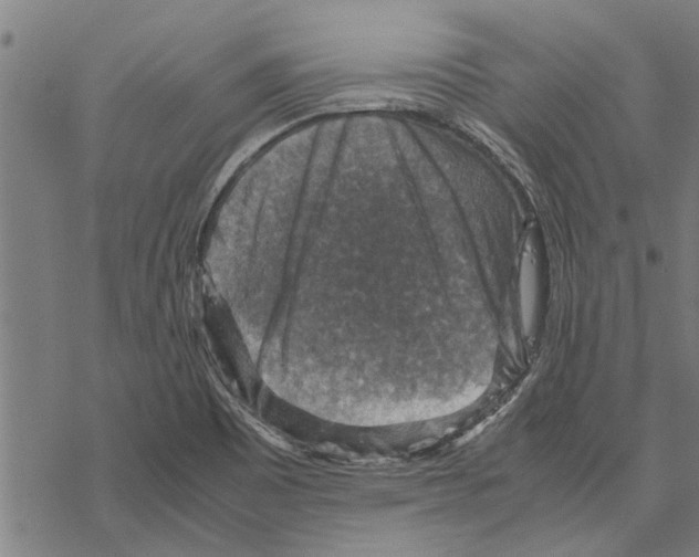 X0000067461465200605051609