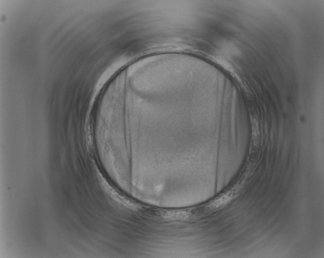 X0000067461466200605051609