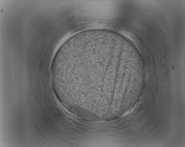 X0000067461467200605051609