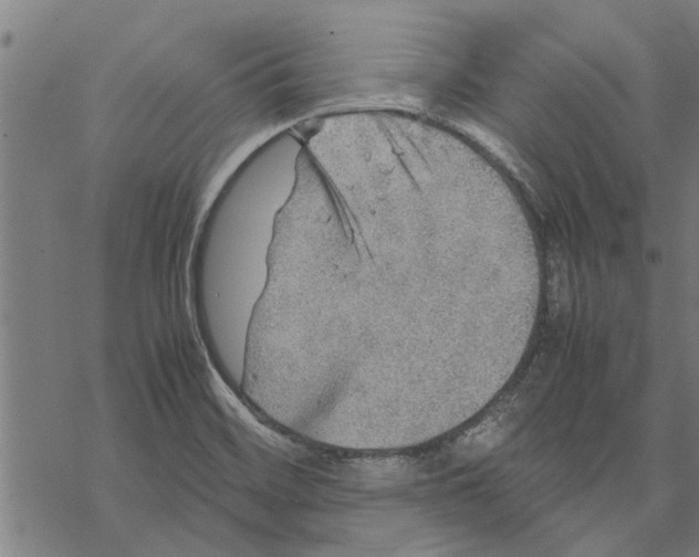 X0000067461468200605051609