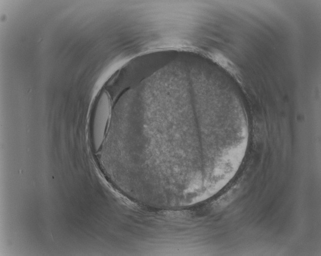 X0000067461469200605051609