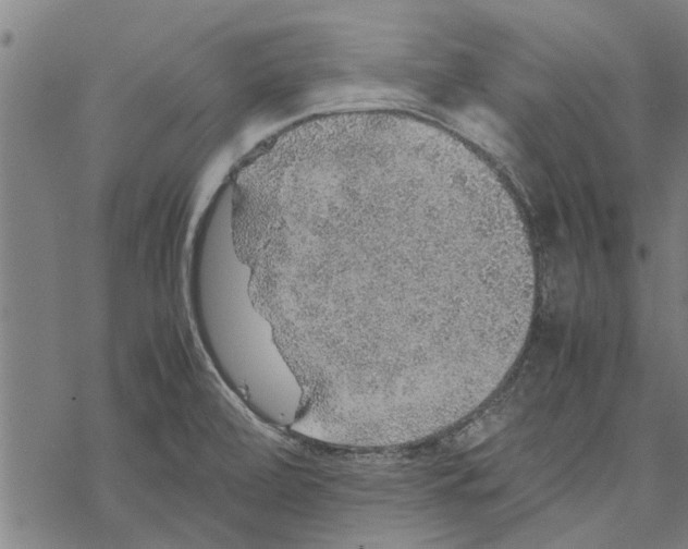 X0000067461472200605051609