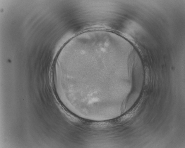 X0000067461474200605051609