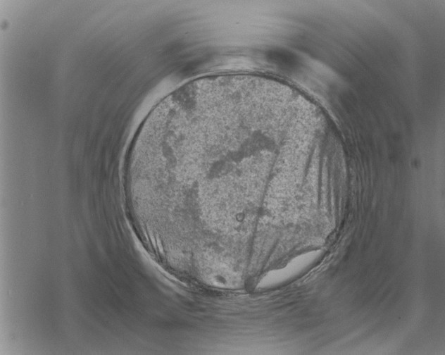 X0000067461475200605051609