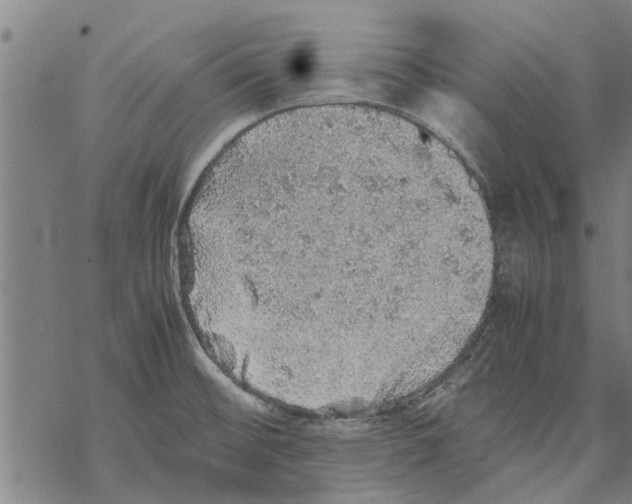 X0000067461476200605051609