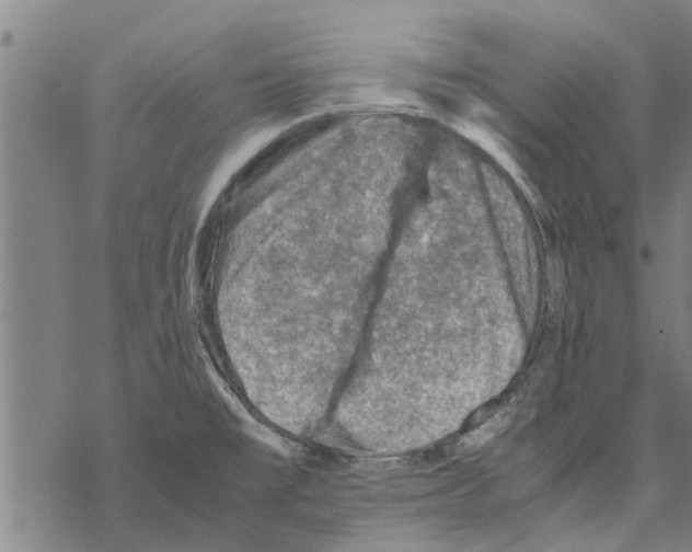 X0000067461477200605051609