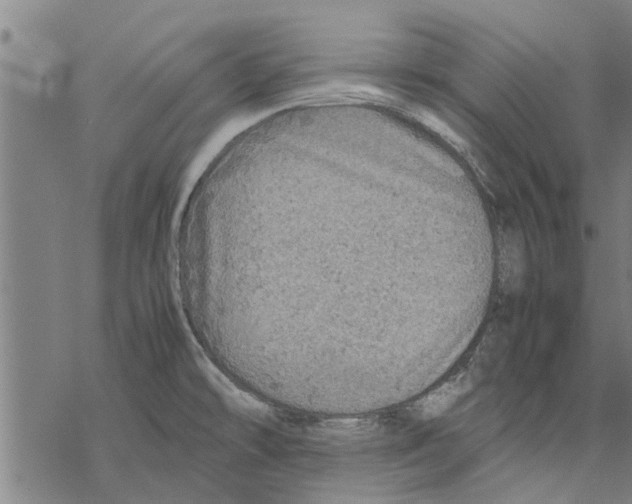 X0000067461478200605051609