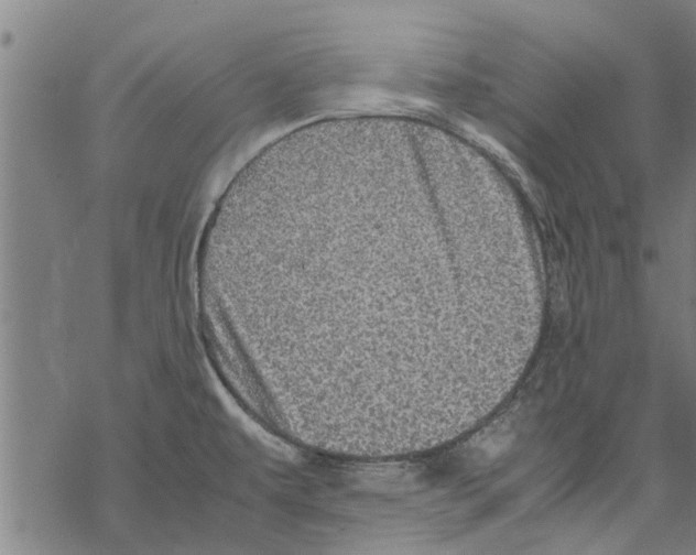 X0000067461479200605051609