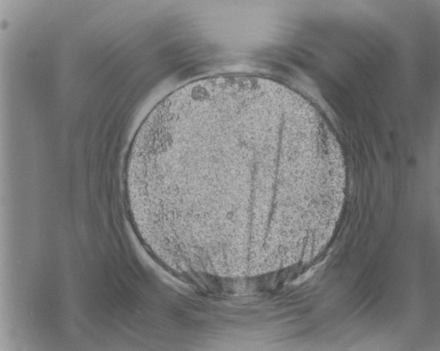 X0000067461483200605051609