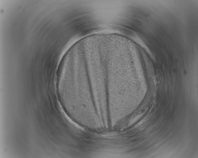 X0000067461484200605051609