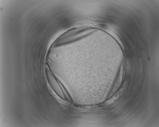 X0000067461485200605051609