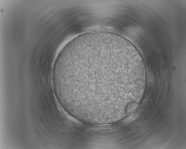 X0000067461486200605051609