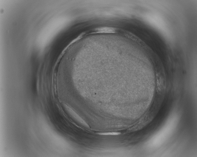 X0000067461487200605051609