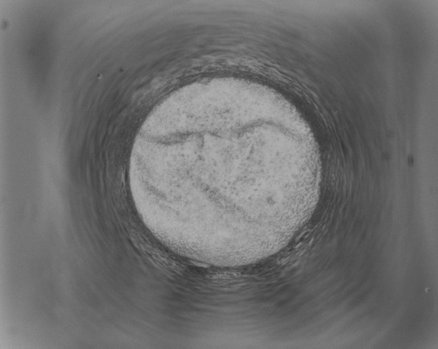 X0000067461489200605051608