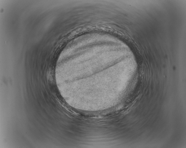 X0000067461490200605051608