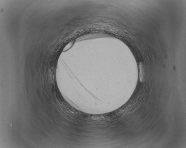 X0000067461491200605051608