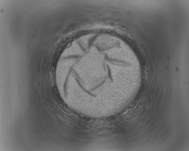 X0000067461493200605051608