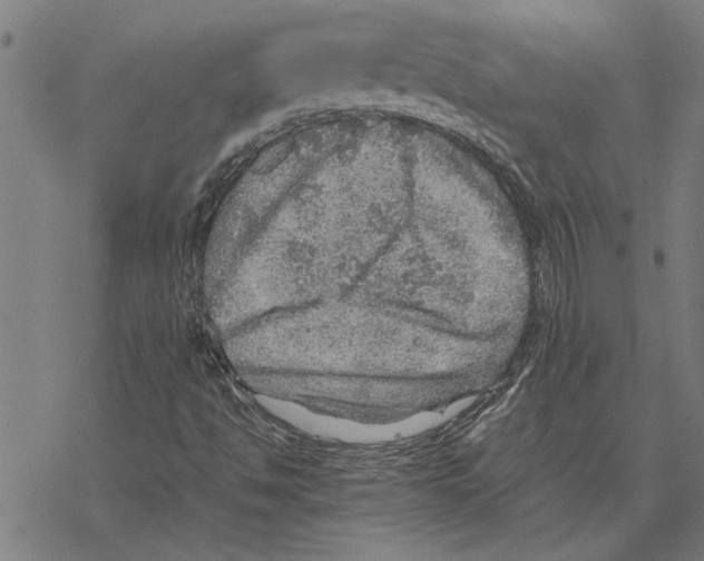 X0000067461494200605051608