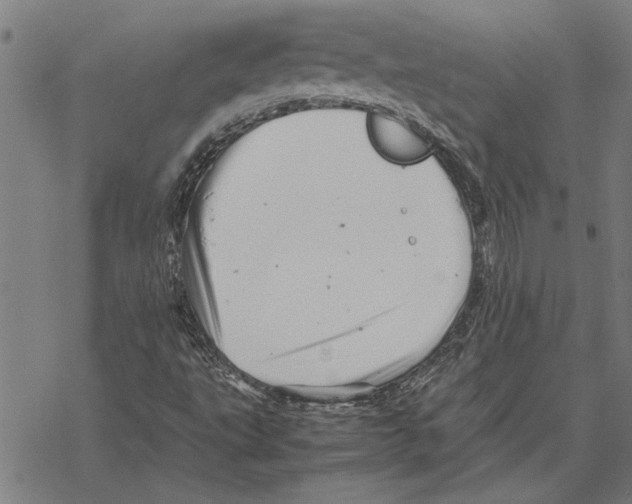 X0000067461495200605051608