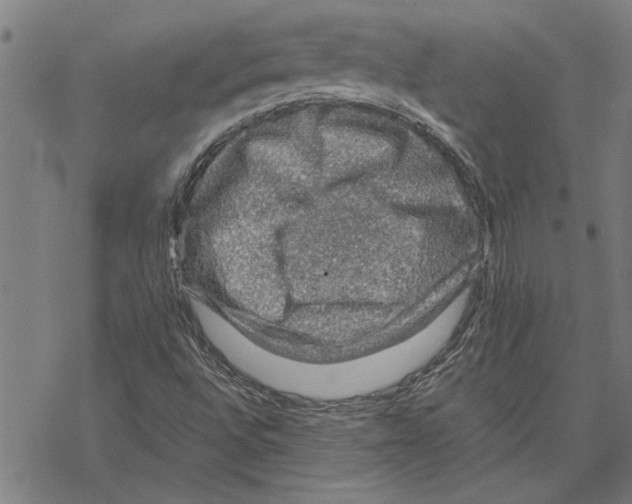 X0000067461496200605051608