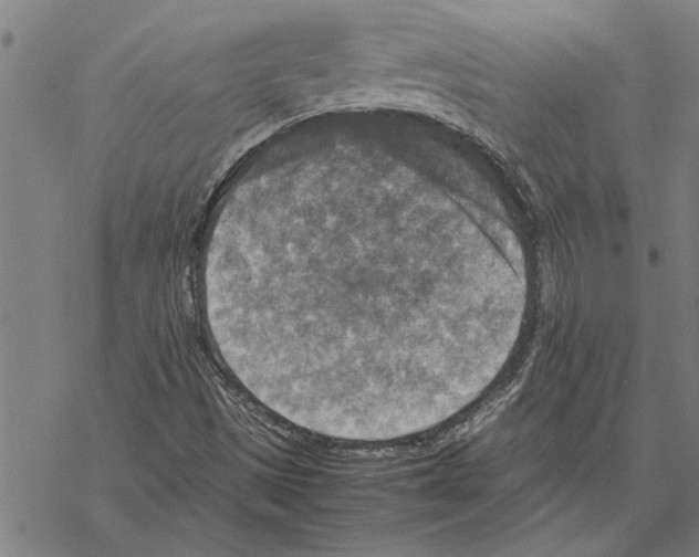 X0000067461497200605051608