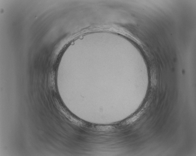 X0000067461498200605051608